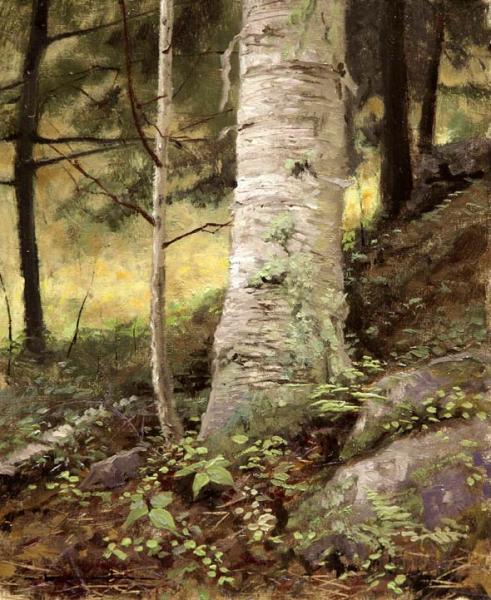 White Mountains, White Birch - Proverbs 19:17, oil on linen, 8 x 10 inches   SOLD 