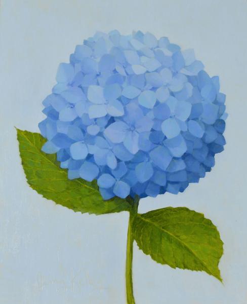 A Perfect Hydrangea, oil on panel, 10 x 8 inches, $1,200 