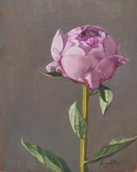 Chelsea Peony, oil on linen, 10 x 8 inches   SOLD 