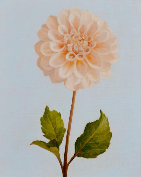 Dahlia Portrait: Sweet Nathalie, oil on linen, 10 x 8 inches, $1,200 