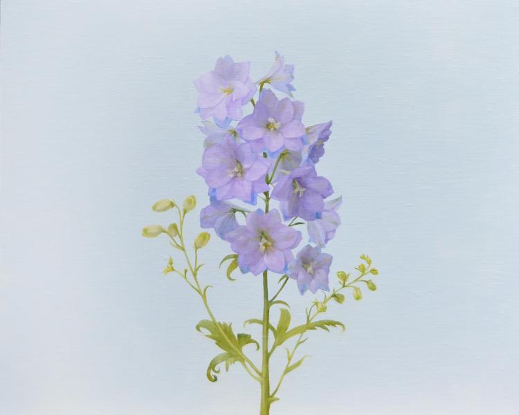 Delphinium, oil on linen, 16 x 20 inches, $3,400 