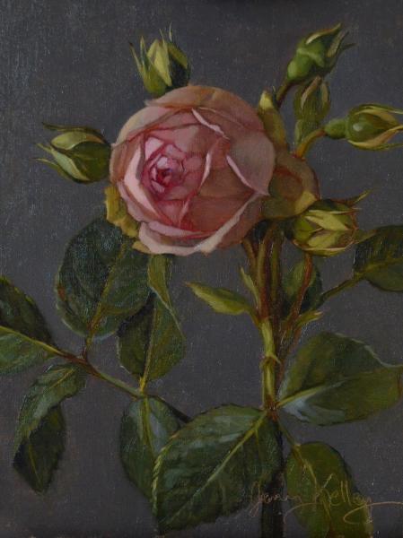 London Rose with Buds, oil on linen, 8 x 6 inches   SOLD 