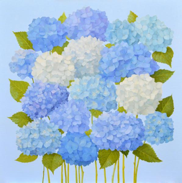 Jenny kelley shades of blue hydrangeas 24x24klr
