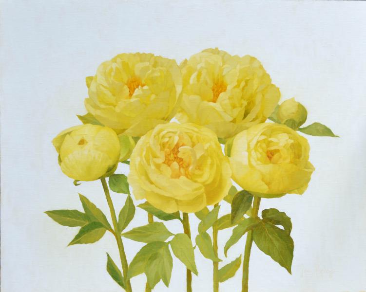 Yellow Peonies, oil on linen, 16 x 20 inches   SOLD 