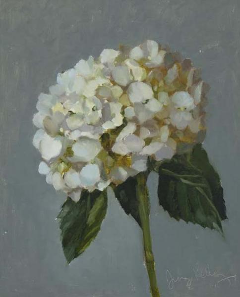 White Hydrangea, Artist Demo. 2/10/18, oil on linen, 10 x 8 inches   SOLD 