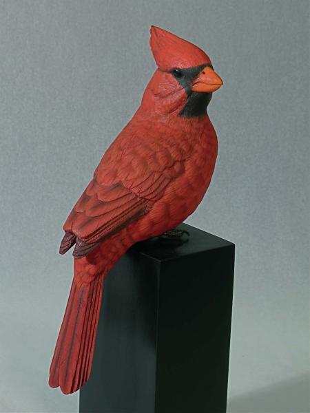 Cardinal, Life Size, carved tupelo with oils,    SOLD 