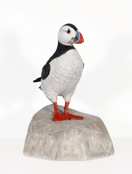 Atlantic Puffin, 1/2 Life Size, carved tupelo with oils, 8h x 3w x 7d inches, $1,200 