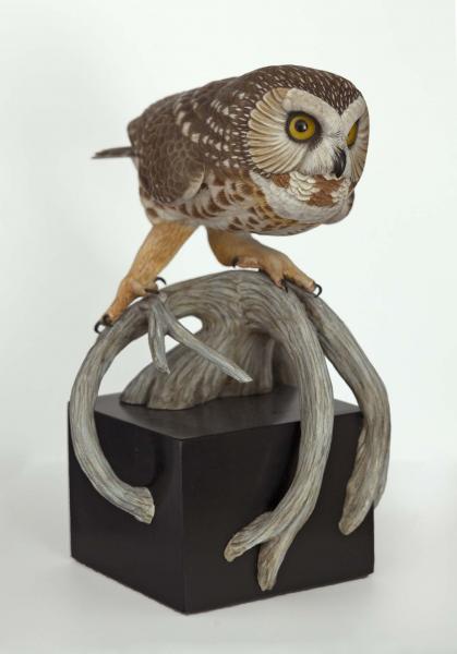 Followed by a Moon Shadow, Saw Whet Owl, carved tupelo with oils, , $3,000 