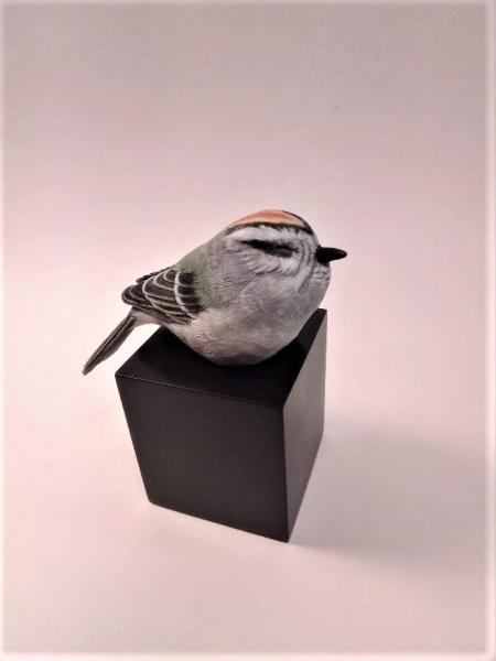 Golden-crowned Kinglet, carved tupelo with oils,    SOLD 