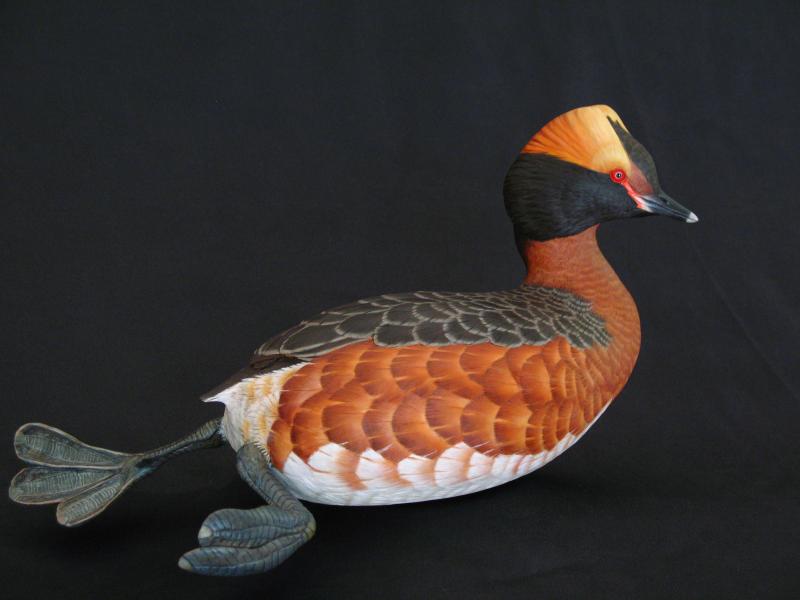 Horned Grebe, carved tupelo with oils,    SOLD 