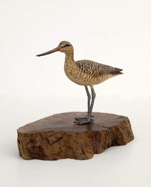 Standing Godwit, Miniature, carved tupelo with oils,    SOLD 