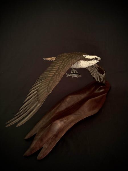 Miniature Osprey, On the Fly, carved tupelo with oils and walnut base, , $4,000 