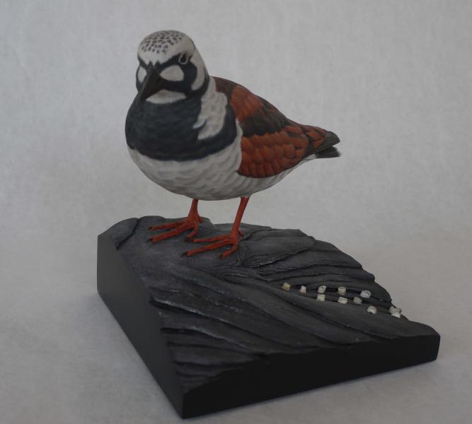 Ruddy Turnstone, carved tupelo with oils,    SOLD 