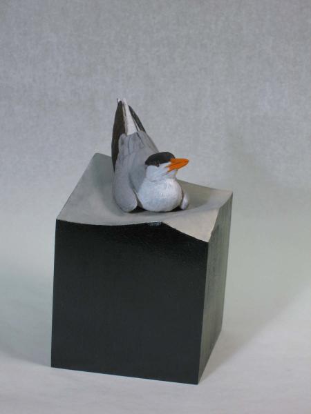Duned!, Miniature Royal Tern, carved tupelo with oils,    SOLD 