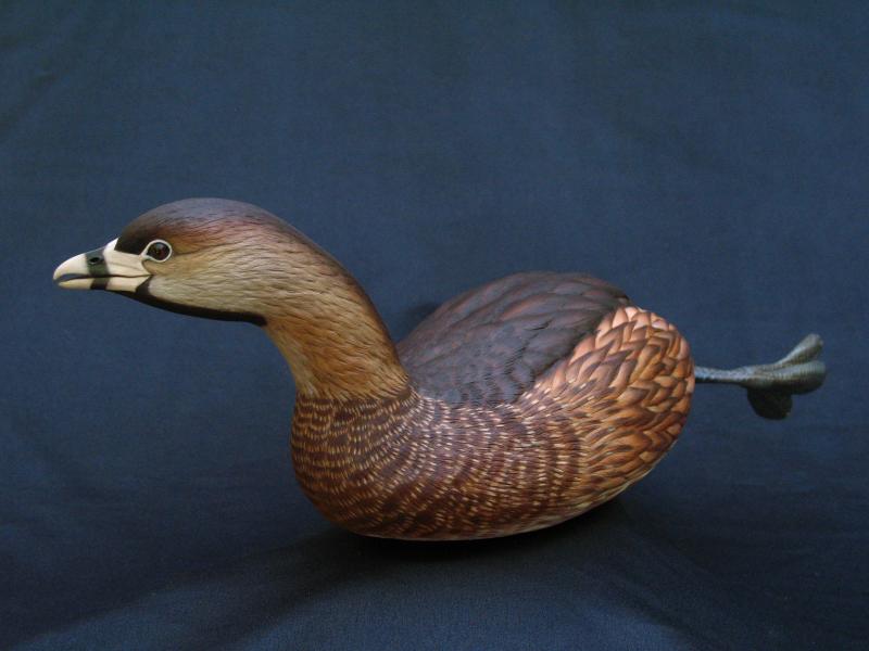 Pied-billed Grebe, carved tupelo with oils,    SOLD 