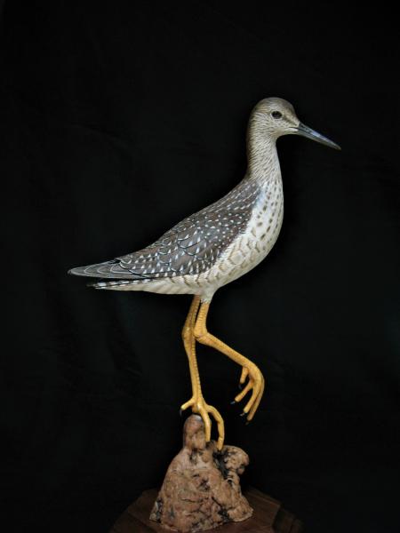 Lesser Yellowlegs, Life Size, carved tupelo with oils,    SOLD 
