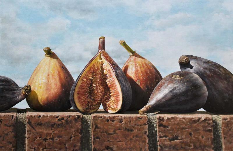 Figs and Sky, oil on canvas, 20 x 30 inches   SOLD 