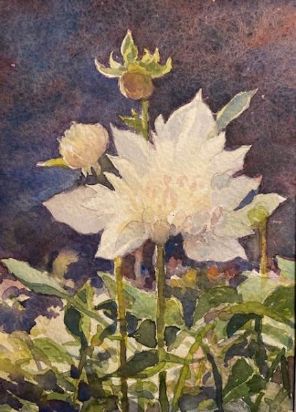 White Blossoms, watercolor on paper, 5 x 7 inches, $475 