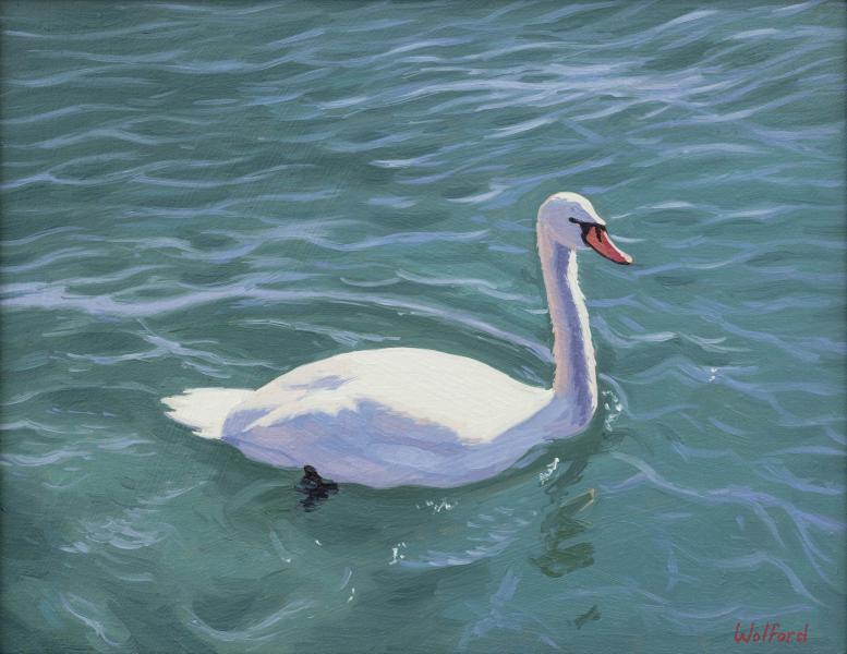 White Swan, oil on canvas, 11 x 14 inches, $1,700 