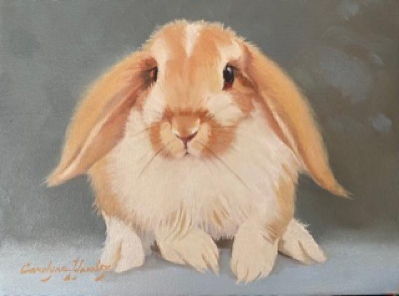 Little Bit of Fluff, oil on canvas, 9 x 12 inches, $1,400 
