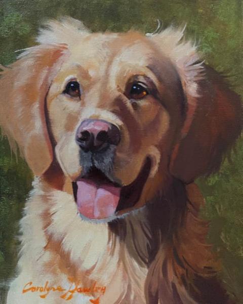 The Golden, oil on canvas, 10 x 8 inches   SOLD 