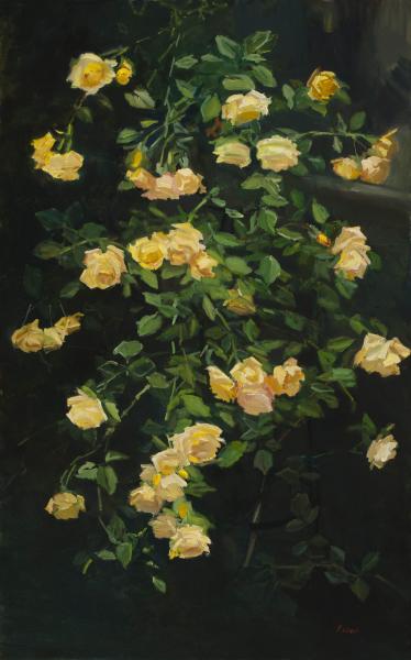 Cascading Yellow Roses, oil on canvas, 48 x 30 inches    SOLD 