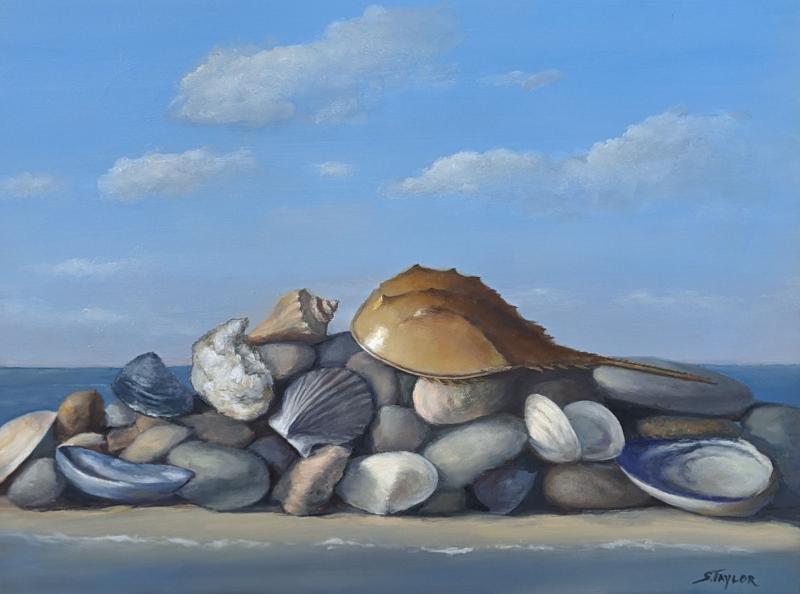 Seashell Distancing, oil on canvas, 12 x  16 inches   SOLD 