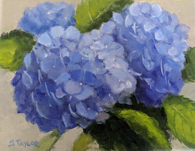True Blue, oil on canvas, 8 x 10 inches   SOLD 