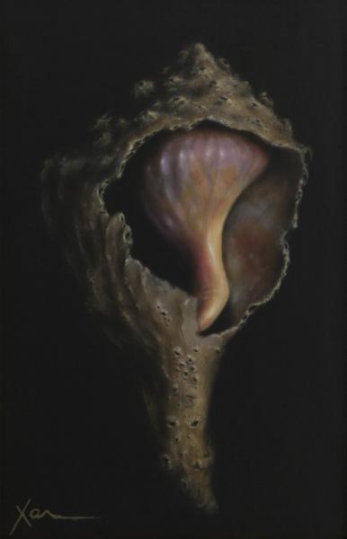Conch, oil on canvas, 12 x 8 inches, $900 