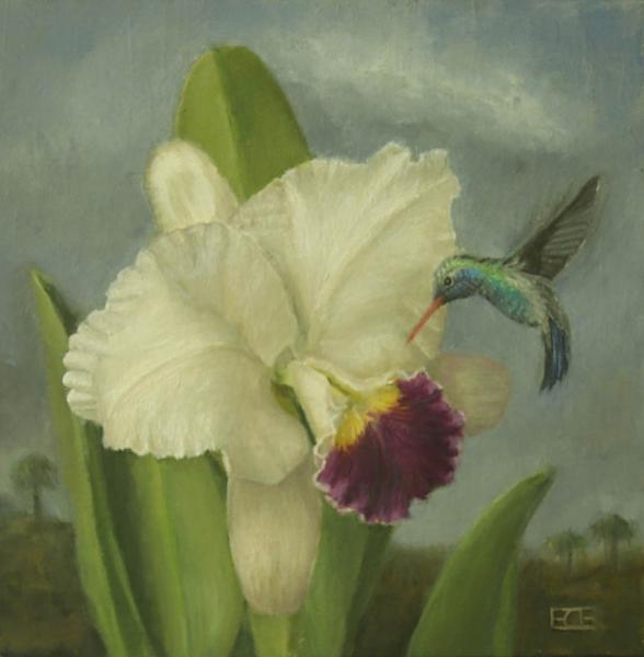 White Cattleya Orchid with Hummingbird, oil on panel, 8 x 8 inches, $895 