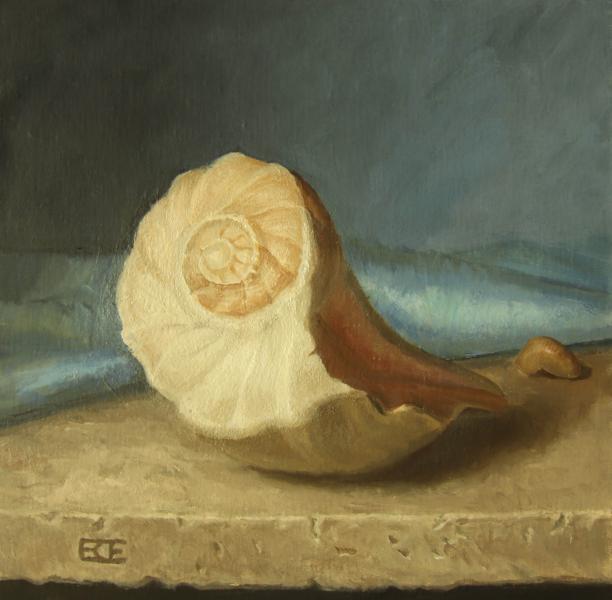 Lightning Whelk Shell, oil on panel, 10 x 10 inches, $1,195 