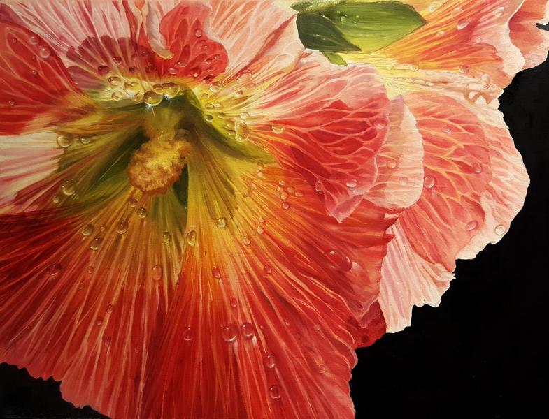 Diamond Droplets, Hollyhock, oil on panel, 12 x 16 inches , $2,800 