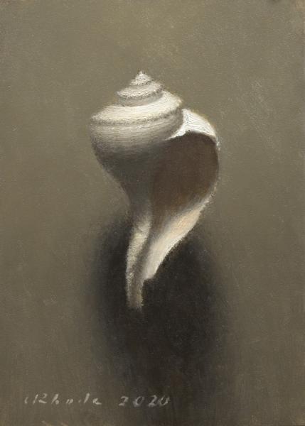 Channeled Whelk, oil on linen, 7 x 5 inches   SOLD 