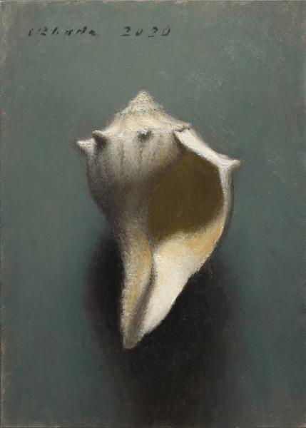 Knobbed Whelk (Juvenile), oil on linen, 7 x 5 inches   SOLD 