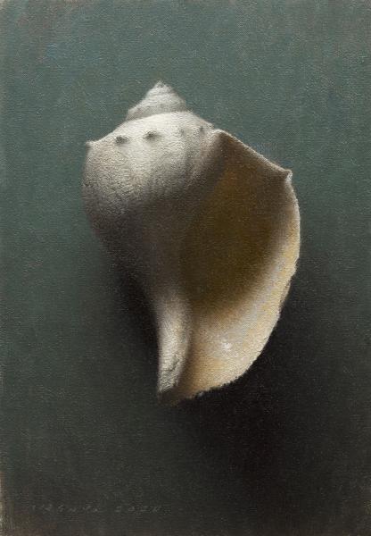 Knobbed Whelk (Mature), oil on linen, 13 x 9 inches   SOLD 